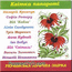 "Тиша навкруги" CD 2006 год